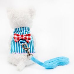 Шлея+повідець Блакитна смуга для гризунів M 
