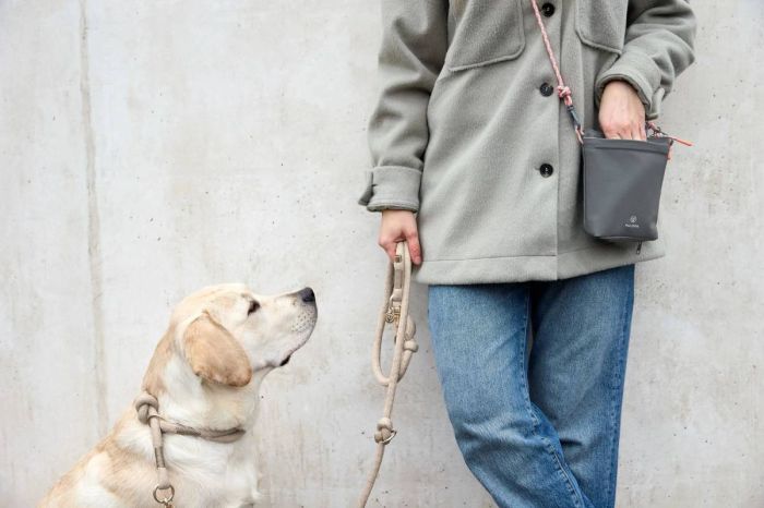 Сумка для ласощів і аксесуарів собак Palopa Karl M Темно-сірий