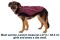 Куртка для собак Ruffwear Overcoat Fuse™ L Фіолетовий