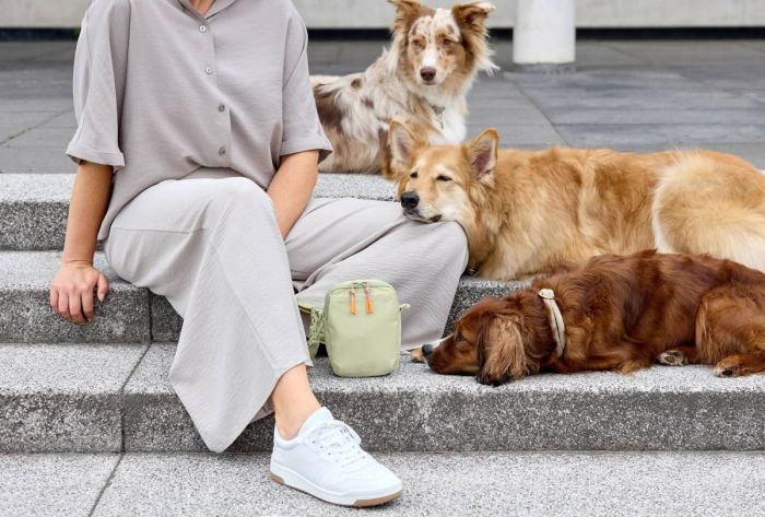 Сумка для ласощів і аксесуарів собак Palopa Greta L Зелений