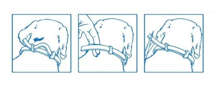 Форесто  Foresto) - нашийник від бліх і кліщів, Bayer 38см