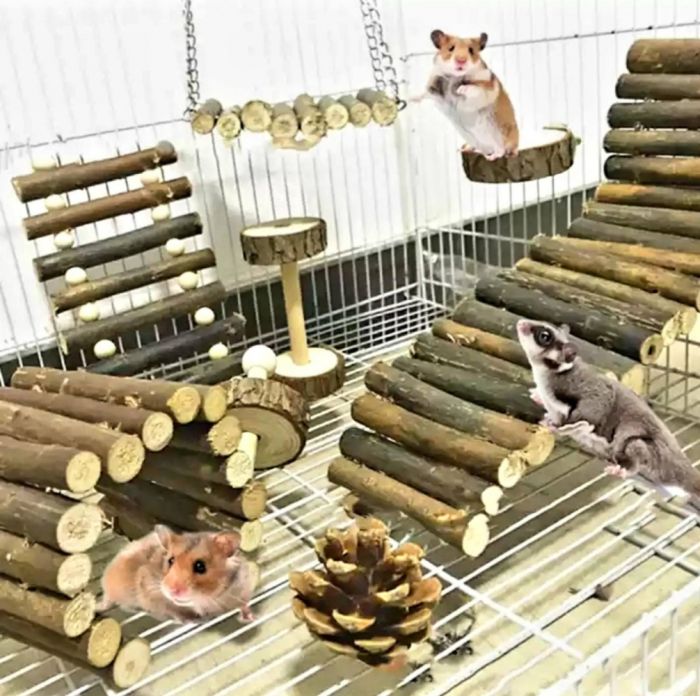 Набір іграшок для гризунів 8 шт 