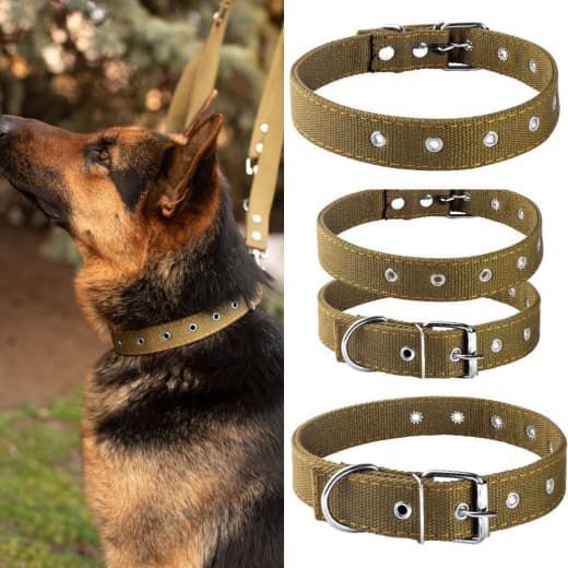 Нашийник економ брезент подвійний безрозмірний 37-73 см