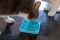 Лизальний килимок антистрес для кошенят LickiMat Kitty Turquoise