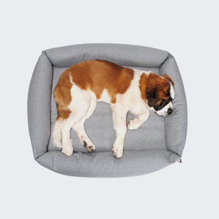 Лежак для собак Cloud7 Sleepy Deluxe Сірий L
