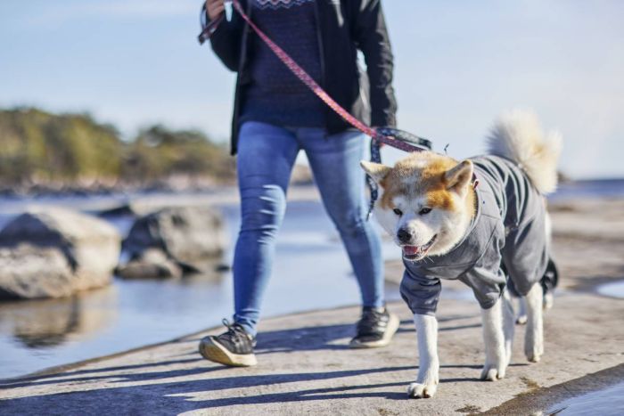 Утеплений комбінезон для собак Hurtta Midlayer Overall 25S Сірий