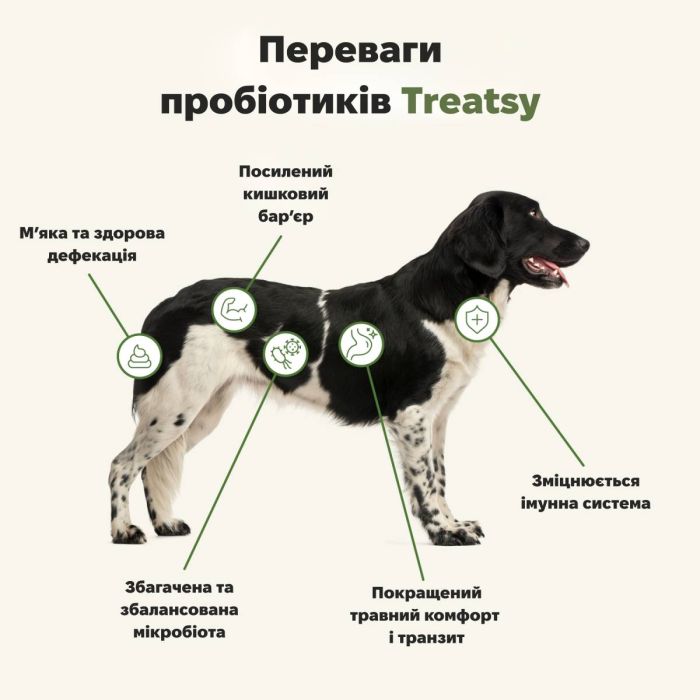 Вітамінний комплекс із пробіотиками для собак Treatsy Probiotics 180 г 60 шт