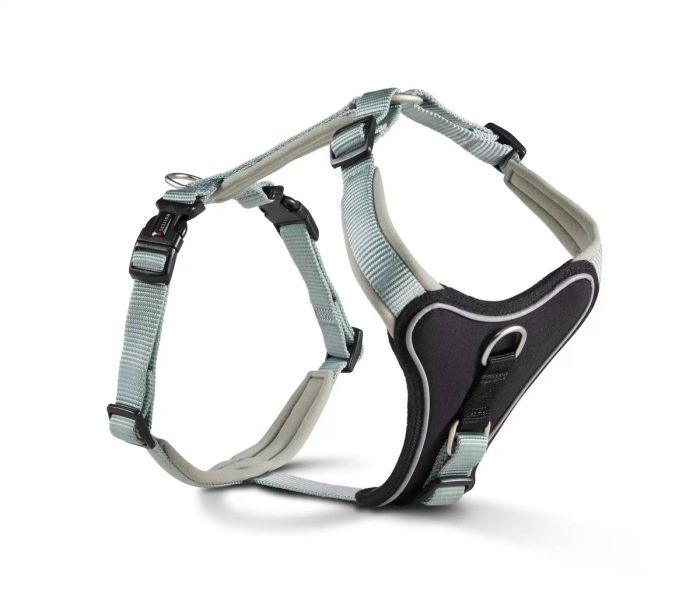 Шлейка для собак пом'якшена Wolters Professional Comfort 6 80-95 см / 35 мм Зелений