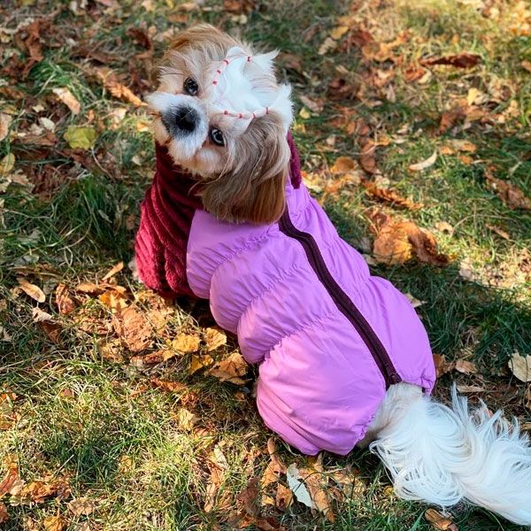 Комбінезон Шарм велсофт (дівчинка) XXS