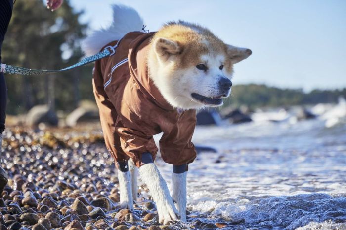 Дощовик комбінезон для собак Hurtta Mudventure Overall ECO 65M Помаранчевий