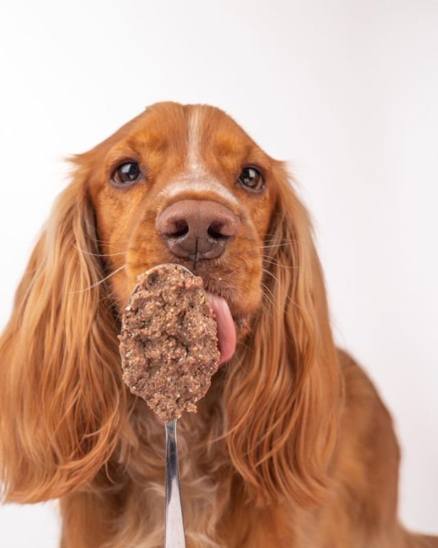 Натуральний вологий корм для собак Cooka's Cookies 91% Качка з гарбузом та бататом 400 г