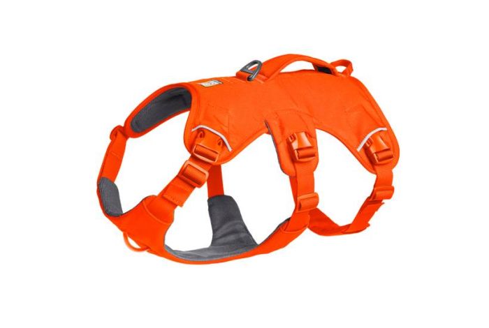 Підтримуюча шлейка для службових собак Ruffwear Web Master™ XS 43-56 см Яскраво-Помаранчевий