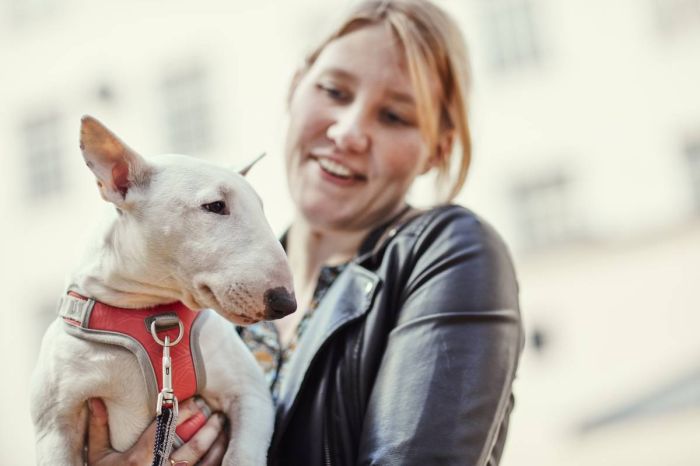 Шлейка для собак пом'якшена з ручкою Hurtta Venture No-Pull 60-80 см Кораловий