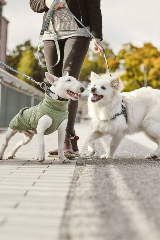 Флісова куртка для собак Hurtta Razzle-Dazzle Midlayer 55 Сірий