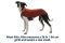 Водонепроникна куртка для собак Ruffwear Vert™ L Помаранчевий