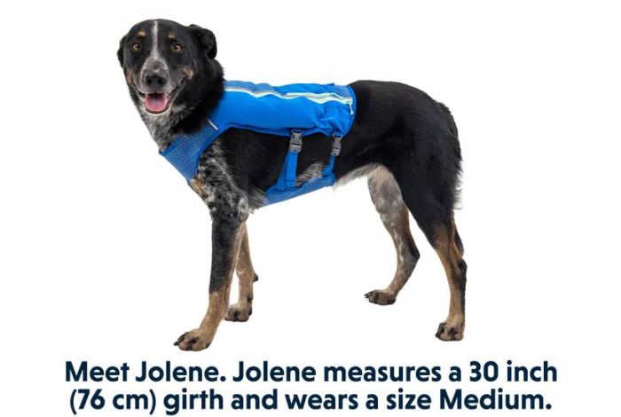 Жилет-шлея для бігу Ruffwear Trail Runner™ M Синій