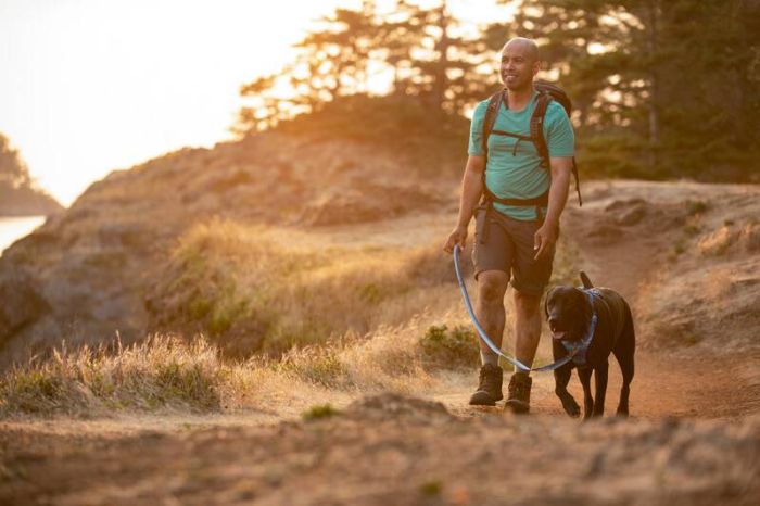Повсякденний повідець для собак Ruffwear Front Range™ Блакитно-синій