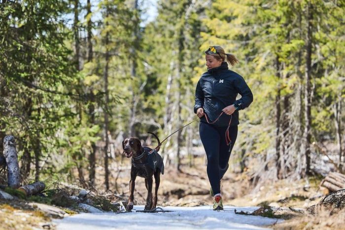 Куртка для собак Trail light Non-stop dogwear Сірий 70