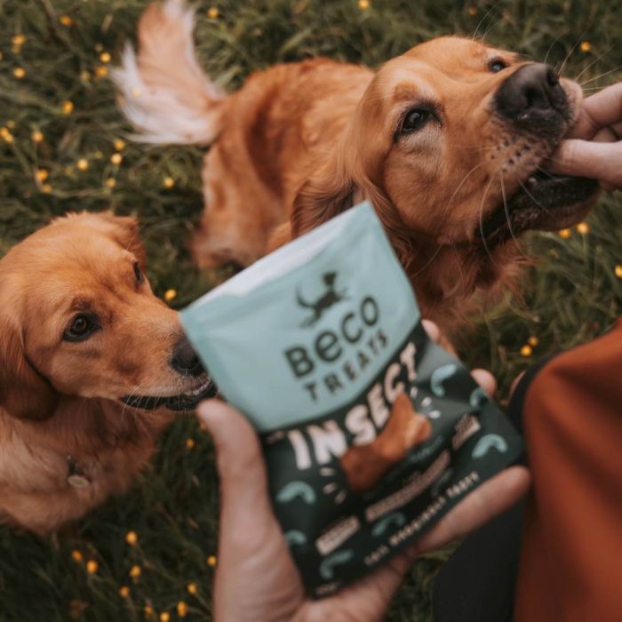 Гіпоалергенне печиво для собак Beco Pets Комаха з яблуком і насінням чіа 70 г