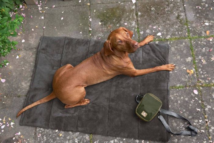 Складаний килим для собак Palopa Alma Сірий S