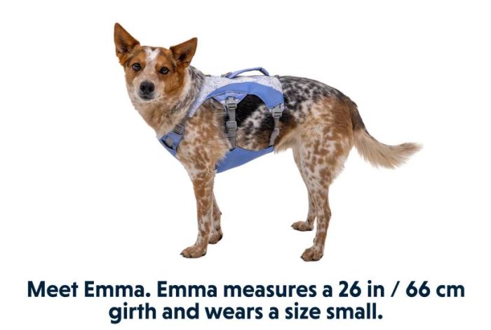 Охолоджувальна шлейка для собак Ruffwear Swamp Cooler™ M 69-81 см Фіолетовий