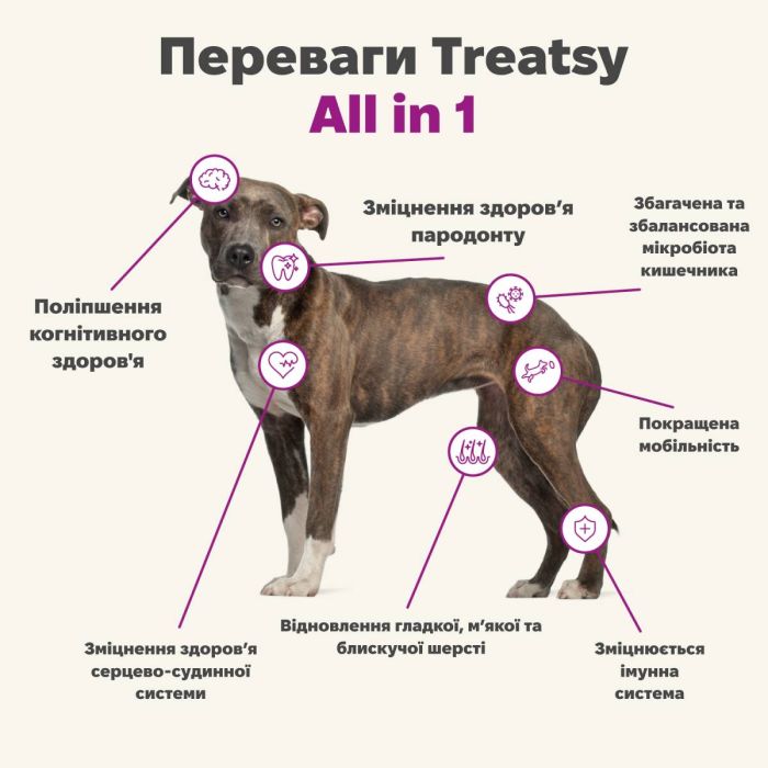 Мультвітамінний комплекс для собак Treatsy All in 1 180 г 60 шт