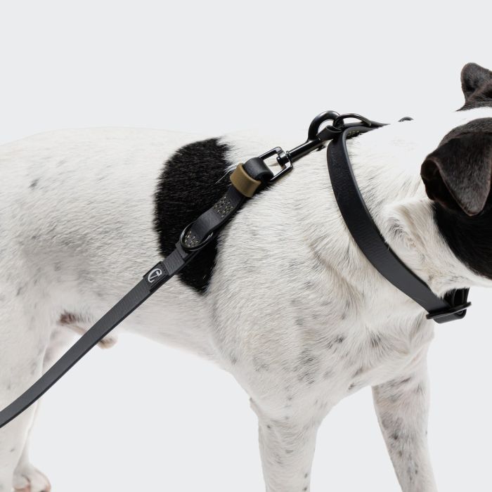 Повідець вільні руки для собак Cloud7 Hands-Free-Leash Ipanema Чорний One Size