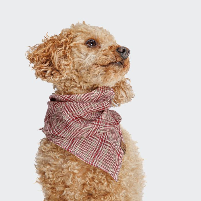 Бандана для собак Cloud7 Check Червоний L