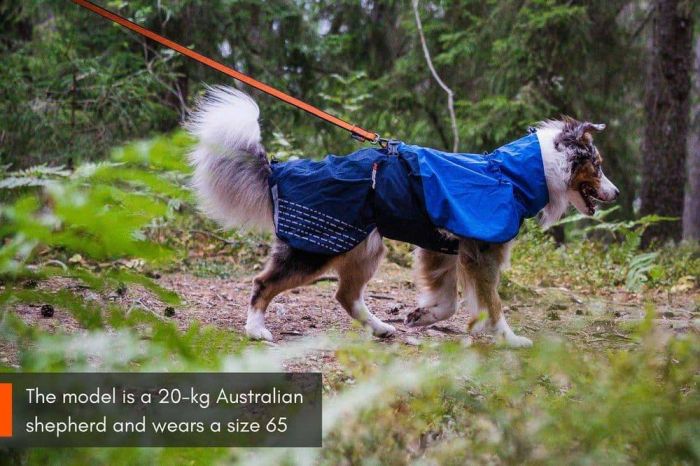 Дощовик для собак Fjord raincoat Non-stop dogwear Синій 24