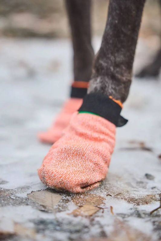 Шкарпетки для собак Protector light socks Non-stop dogwear Помаранчевий S 4 Шт.