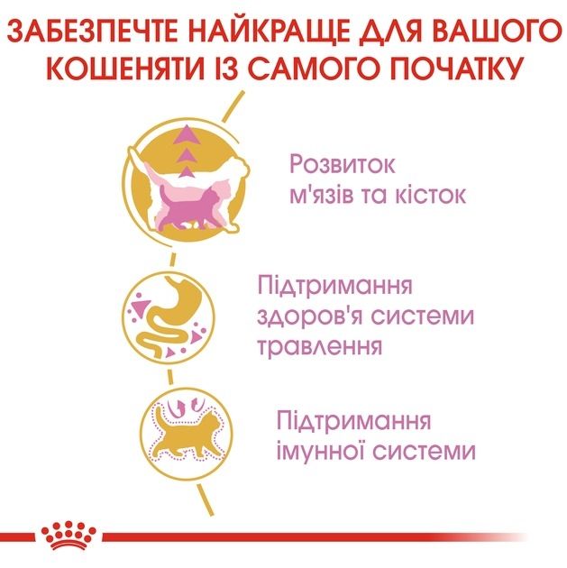 АКЦІЯ Royal Canin British Shorthair Kitten сухий корм для британських короткошерстих кошенят 2 кг + 12 паучів 