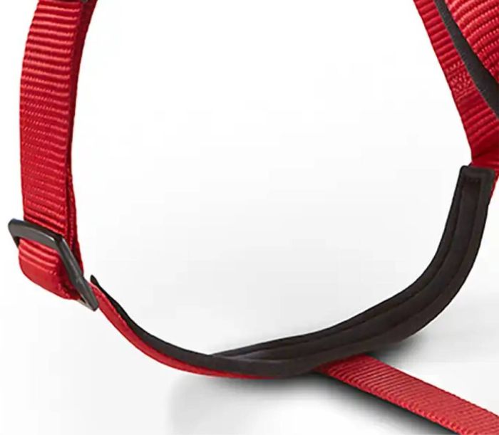 Шлейка для собак пом'якшена Wolters Professional Comfort 1 35-40 см / 25 мм Червоний