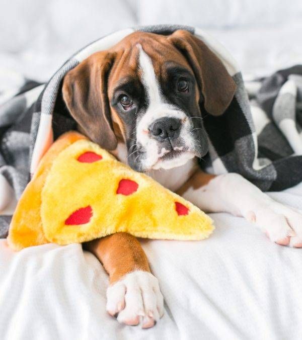 М'яка іграшка для собак піца ZippyPaws NomNomz Pizza з пищалкою