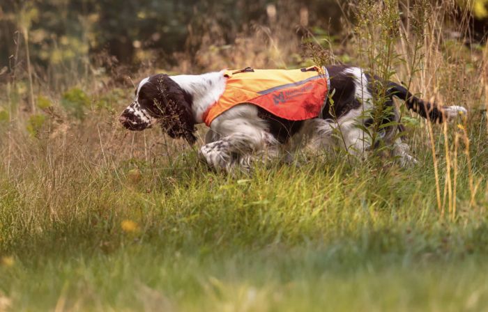 Жилет для собак Non-stop dogwear Protector cover 2.0 Помаранчевий 2XS