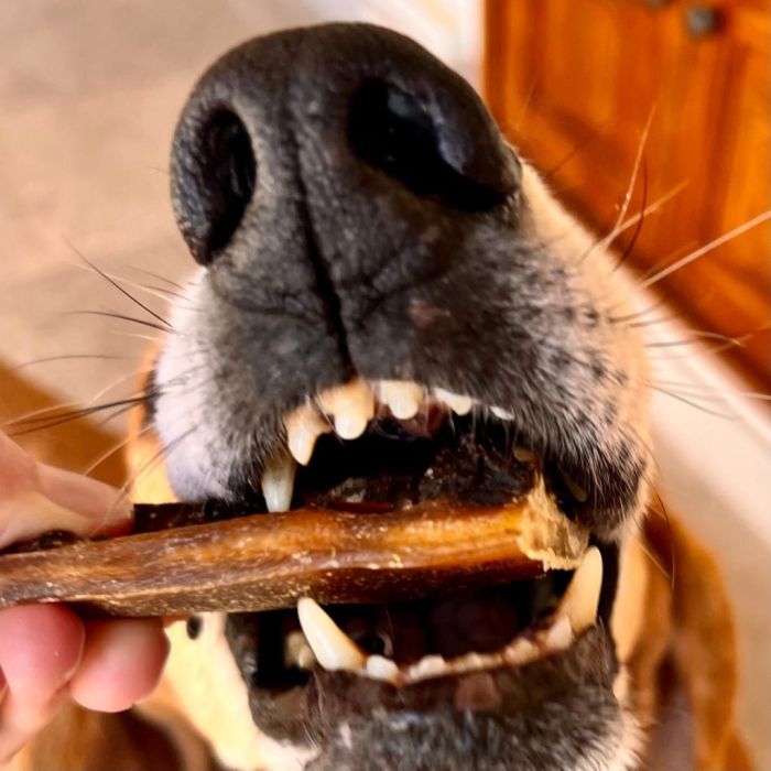 Натуральні ласощі для собак Cooka's Cookies Pork Spawghetti 100% Свинячі кишки 60 г