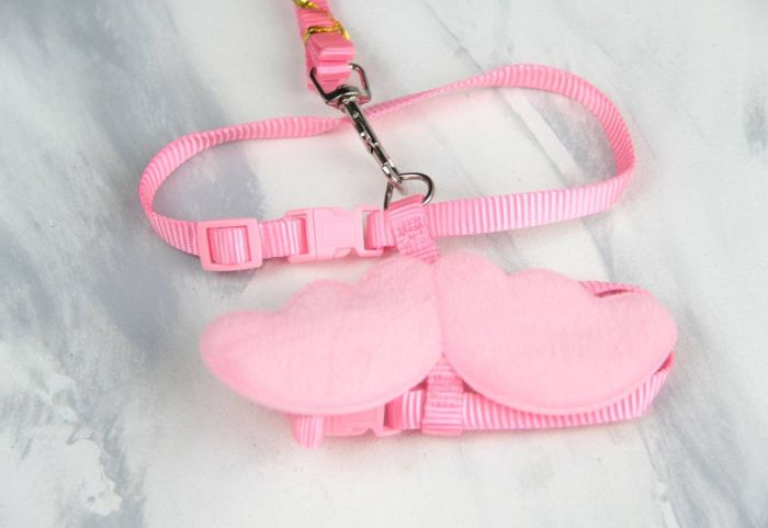 Комплект шлея + Повідець з крильцями стрічка Обєм грудей 22-32 см