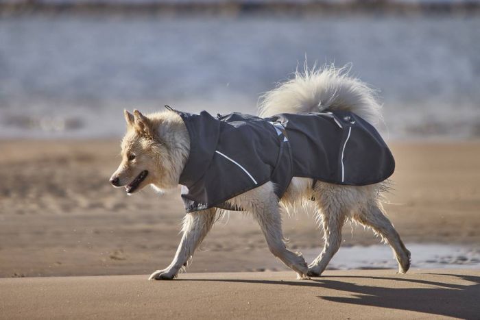 Дощовик для собак Hurtta Mudventure Coat ECO 35 Сірий