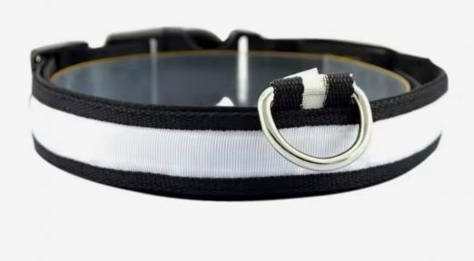 Нашийник Світиться USB нейлон, L (2,5 см41-52 см) білий