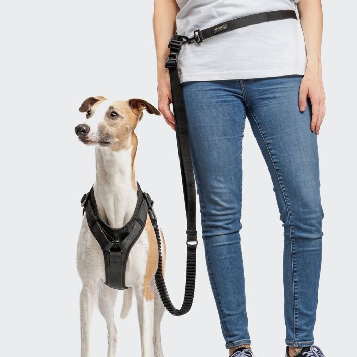 Y-подібна шлейка для собак Cloud7 Y-3 Harness AKTIV Чорний XL