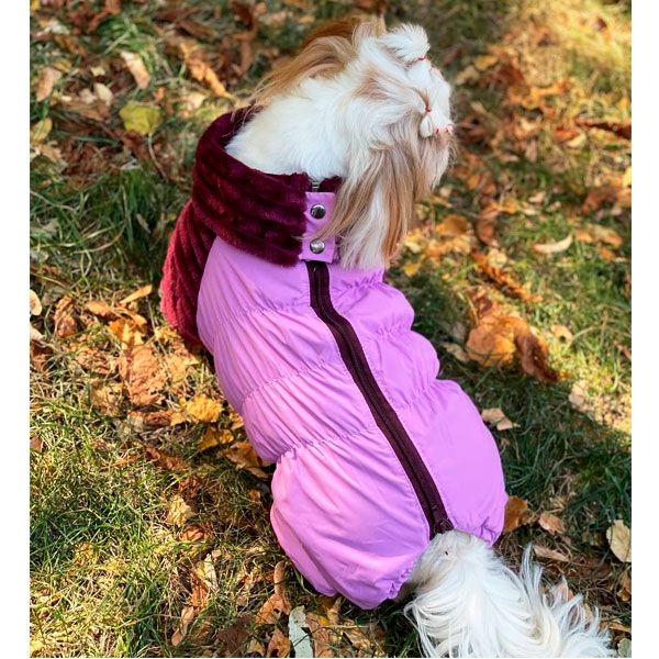 Комбінезон Шарм велсофт (дівчинка) XXS