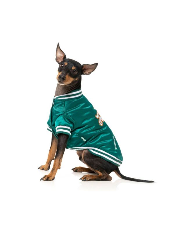 Куртка для собак FuzzYard Fastball Зелений 4
