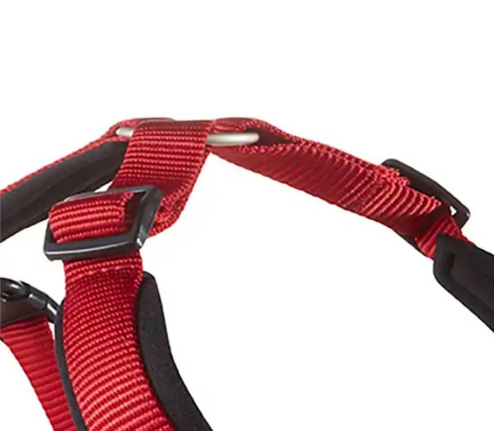 Шлейка для собак пом'якшена Wolters Professional Comfort 2A 45-50 см / 25 мм Червоний