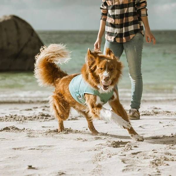 Охолоджуючий жилет для собак Hurtta Cooling Wrap 45-55 см Блакитний