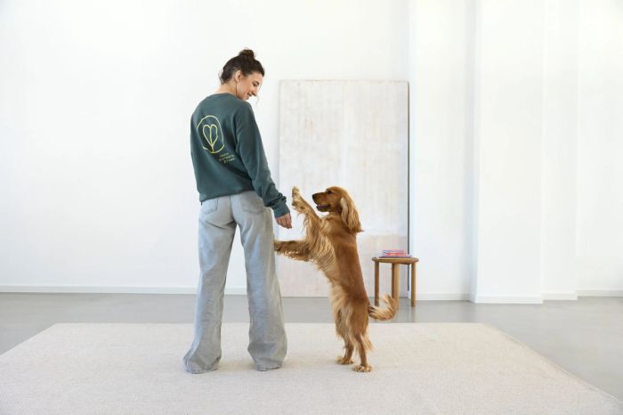 Світшот для власників собак Palopa Синій S