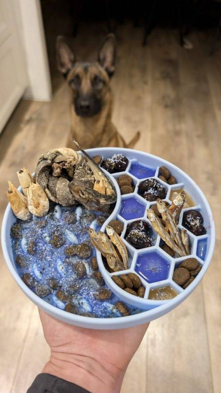 Натуральний топер (вітамінна та смакова добавка) для собак Cooka's Cookies Mermaid Dust Кокос з блакитною спіруліною 65 г