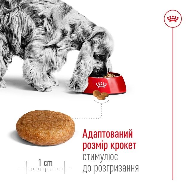 АКЦІЯ Royal Canin Medium Adult сухий корм для дорослих собак середніх порід старше 12 місяців 4 кг + миска в подорож 