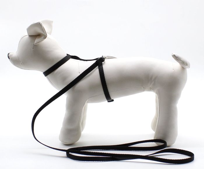 Комплект для гризунів Хомка, 21-35 см синій