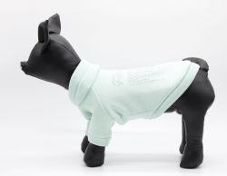 Світшот Сіріус трикотаж на флісі (хлопчик) XXS (А22В25-31 см)