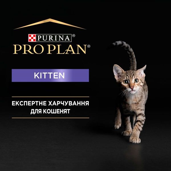 Pro Plan Junior паштет для кошенят із куркою, 85 г 85 г