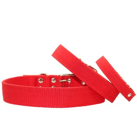 Нашийник економ брезент подвійний червоний 43-53 см